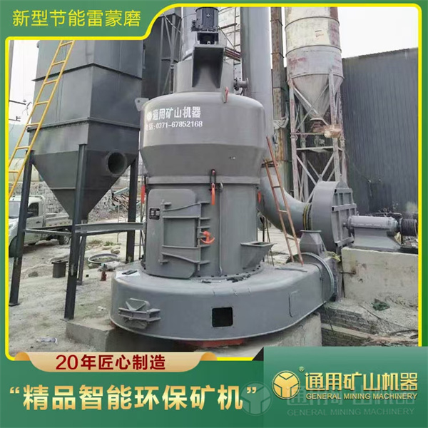 新型節能雷蒙磨